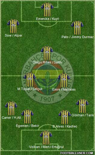 Fenerbahçe SK Formation 2014