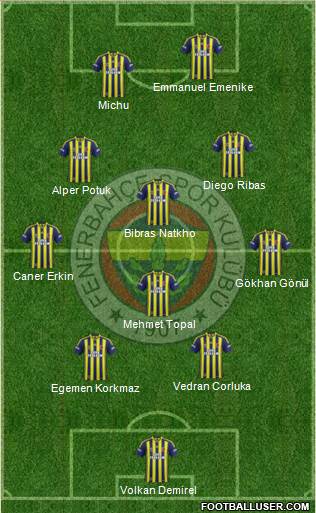 Fenerbahçe SK Formation 2014
