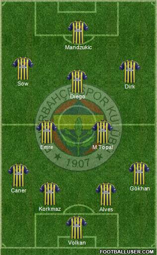 Fenerbahçe SK Formation 2014