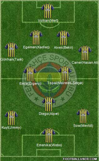 Fenerbahçe SK Formation 2014