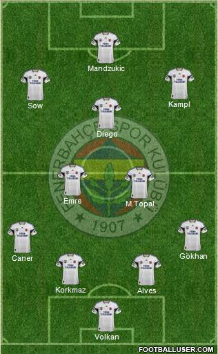 Fenerbahçe SK Formation 2014
