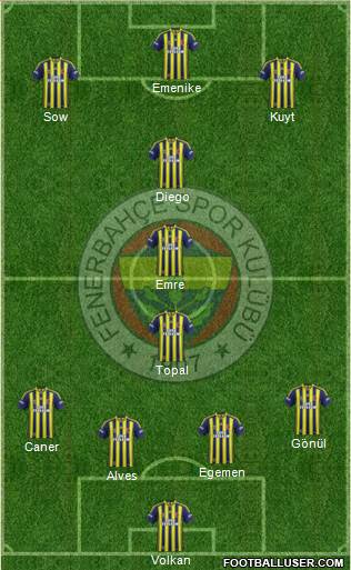 Fenerbahçe SK Formation 2014