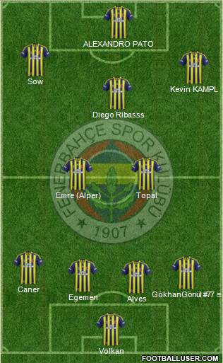 Fenerbahçe SK Formation 2014