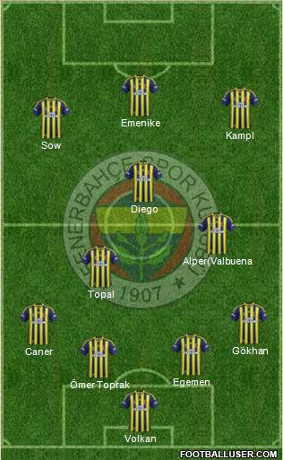 Fenerbahçe SK Formation 2014