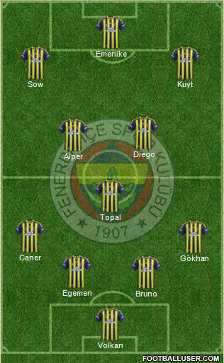 Fenerbahçe SK Formation 2014