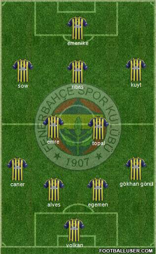 Fenerbahçe SK Formation 2014