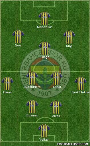 Fenerbahçe SK Formation 2014