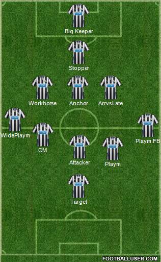Newcastle United Formation 2014