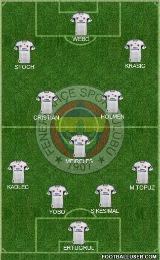 Fenerbahçe SK Formation 2014