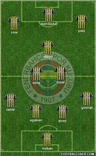 Fenerbahçe SK Formation 2014