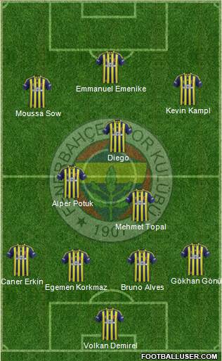 Fenerbahçe SK Formation 2014