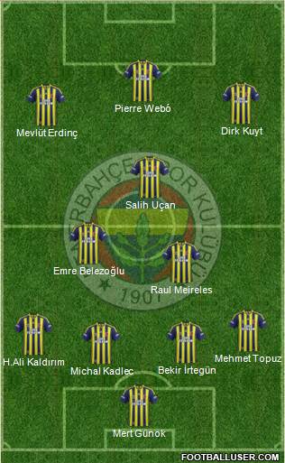 Fenerbahçe SK Formation 2014
