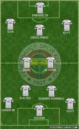 Fenerbahçe SK Formation 2014