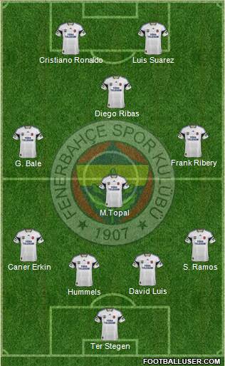 Fenerbahçe SK Formation 2014