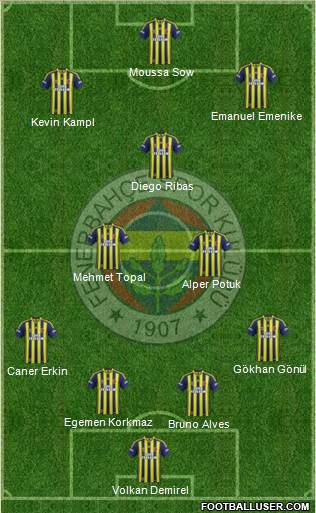 Fenerbahçe SK Formation 2014