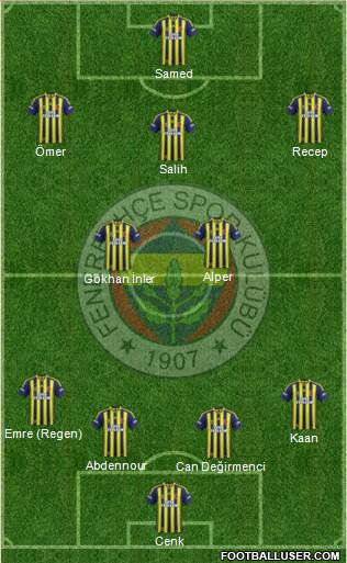 Fenerbahçe SK Formation 2014