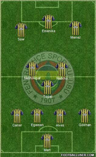 Fenerbahçe SK Formation 2014