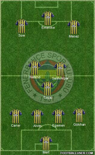 Fenerbahçe SK Formation 2014