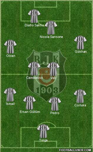 Besiktas JK Formation 2014