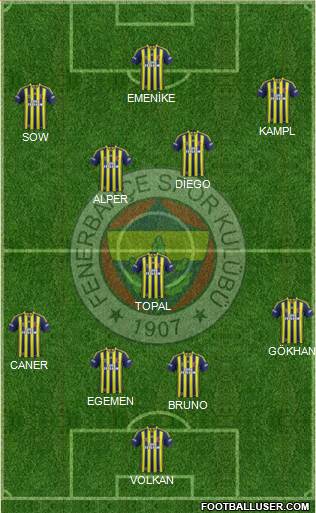 Fenerbahçe SK Formation 2014