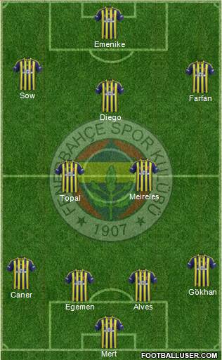 Fenerbahçe SK Formation 2014
