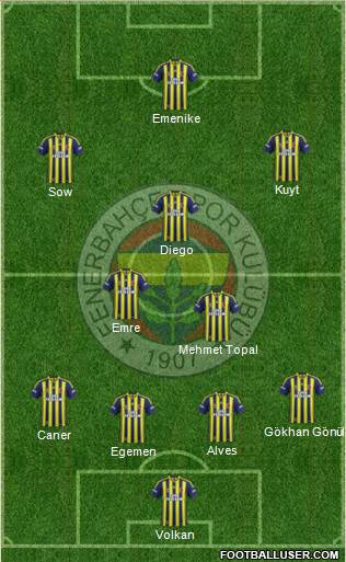 Fenerbahçe SK Formation 2014