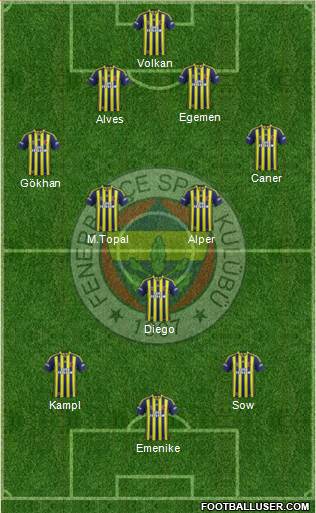 Fenerbahçe SK Formation 2014
