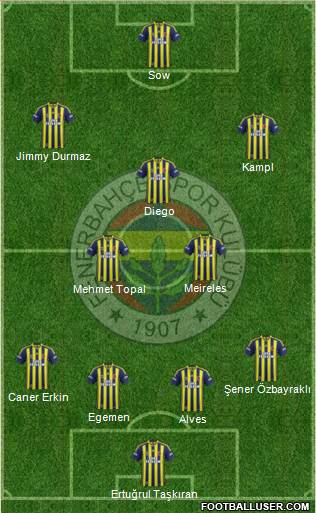 Fenerbahçe SK Formation 2014