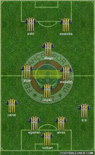 Fenerbahçe SK Formation 2014