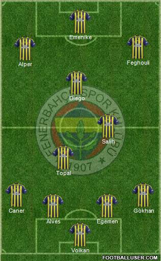 Fenerbahçe SK Formation 2014