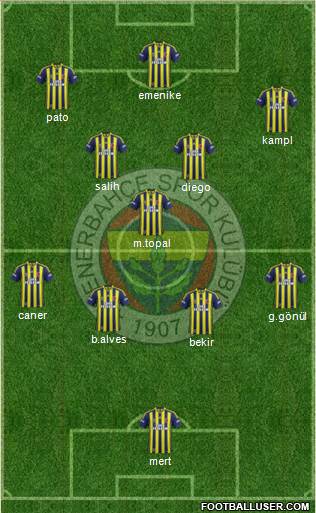 Fenerbahçe SK Formation 2014