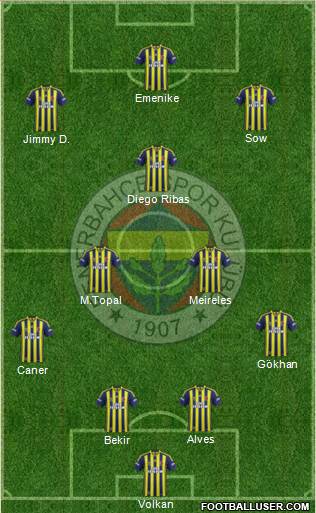 Fenerbahçe SK Formation 2014