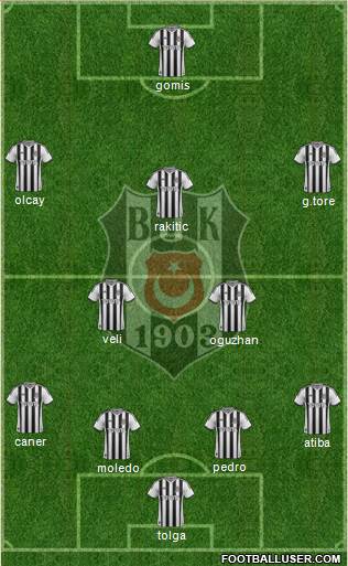 Besiktas JK Formation 2014
