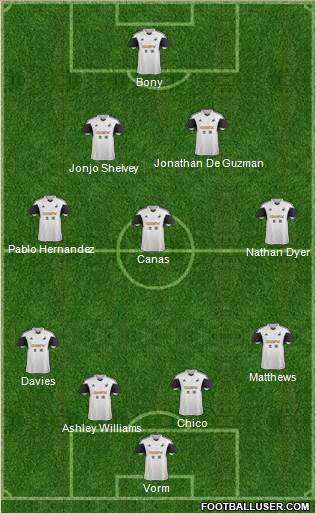 Swansea City Formation 2014
