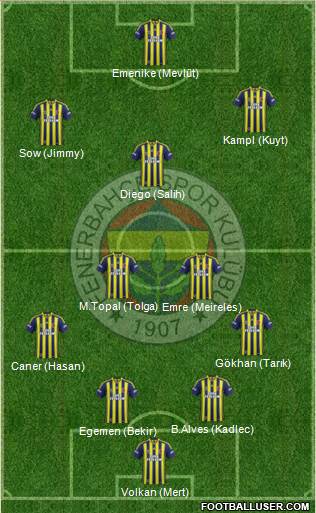 Fenerbahçe SK Formation 2014