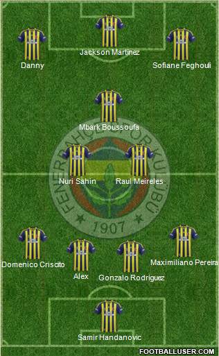 Fenerbahçe SK Formation 2014