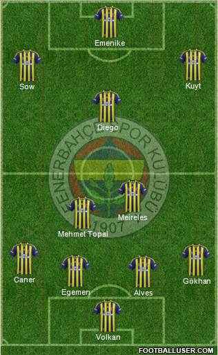Fenerbahçe SK Formation 2014