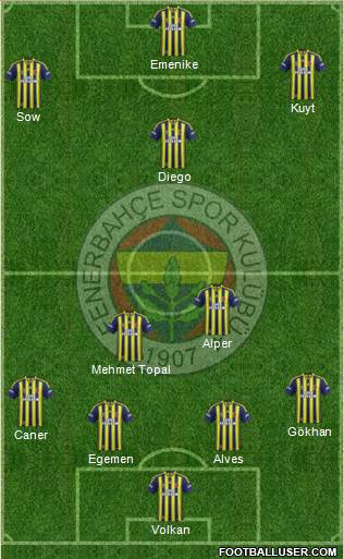 Fenerbahçe SK Formation 2014
