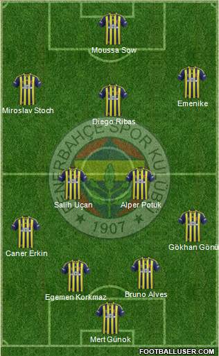 Fenerbahçe SK Formation 2014