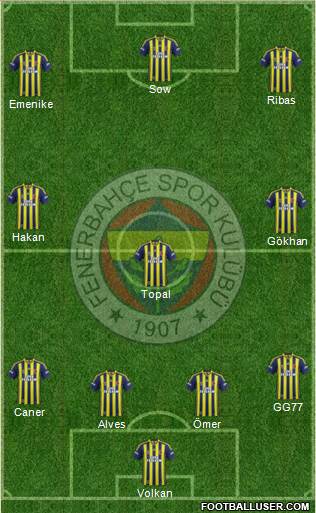 Fenerbahçe SK Formation 2014