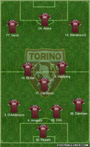 Torino Formation 2014