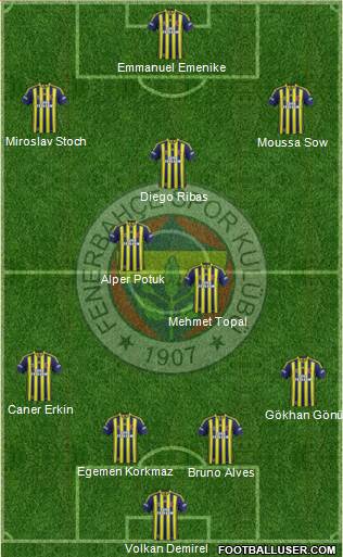 Fenerbahçe SK Formation 2014