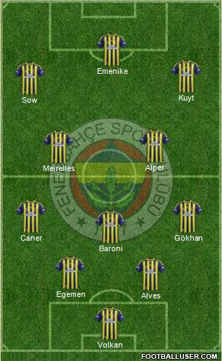 Fenerbahçe SK Formation 2014