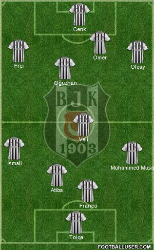 Besiktas JK Formation 2014
