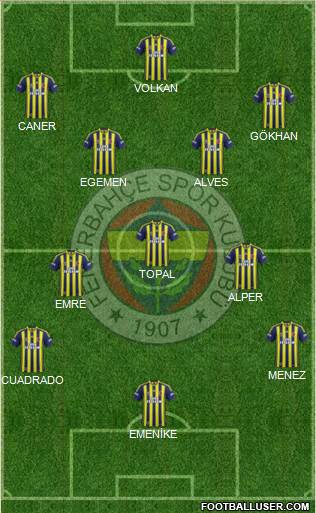Fenerbahçe SK Formation 2014