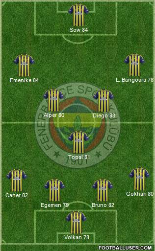 Fenerbahçe SK Formation 2014