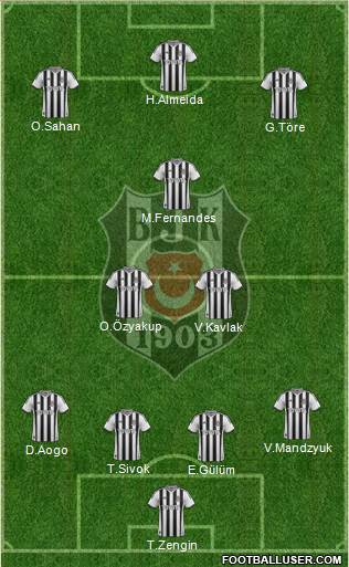 Besiktas JK Formation 2014