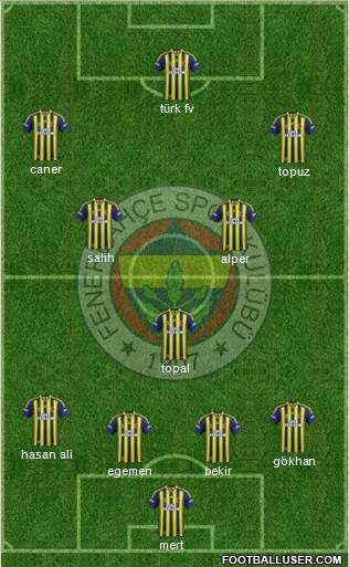 Fenerbahçe SK Formation 2014