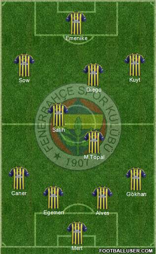 Fenerbahçe SK Formation 2014