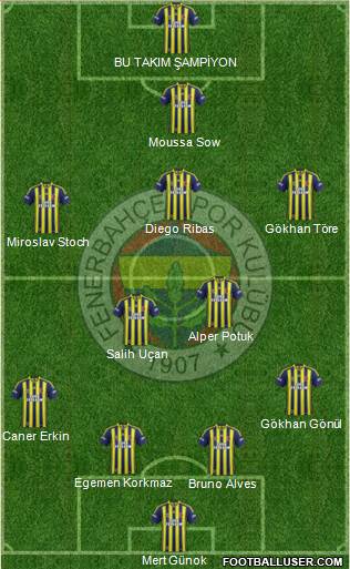 Fenerbahçe SK Formation 2014